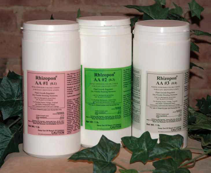 Rhizopopn AA Dry Powder Rooting Hormones